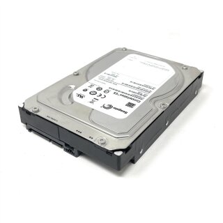 Interne HDD Festplatte Seagate Constellation ES 1TB SATA III 3,5 Zoll 64 MB Cache